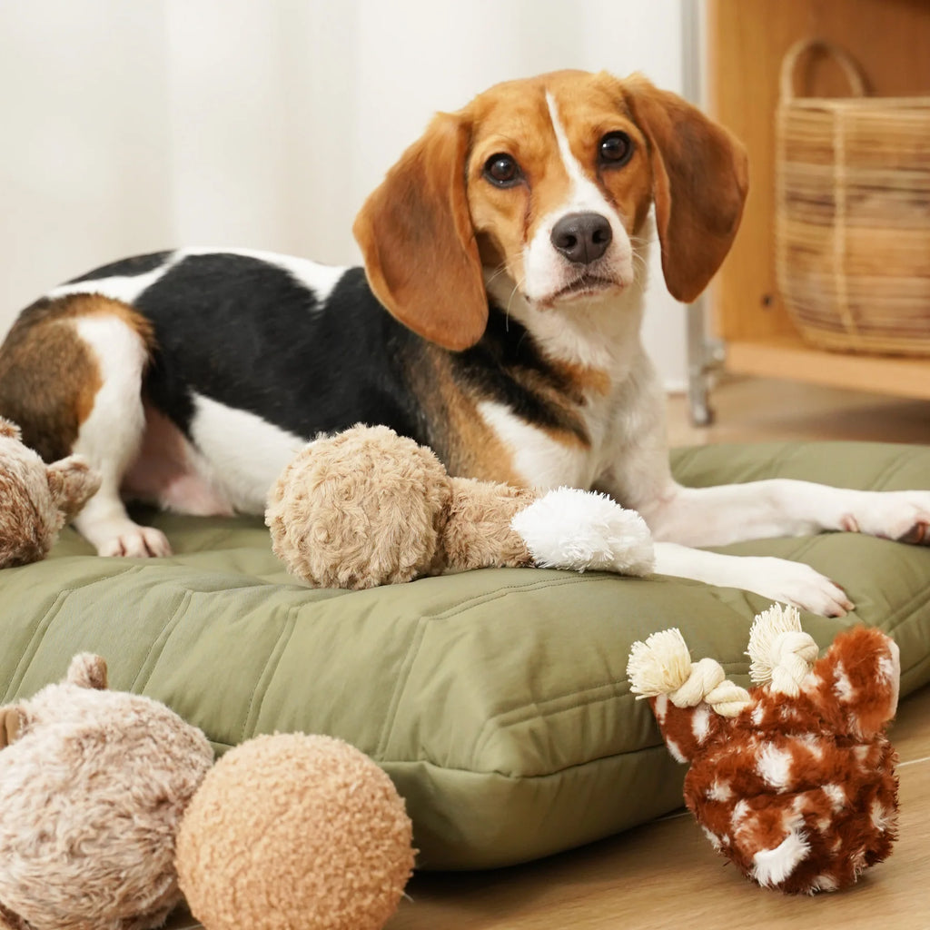 Пошукова іграшка FAWN POP lambwolf collective