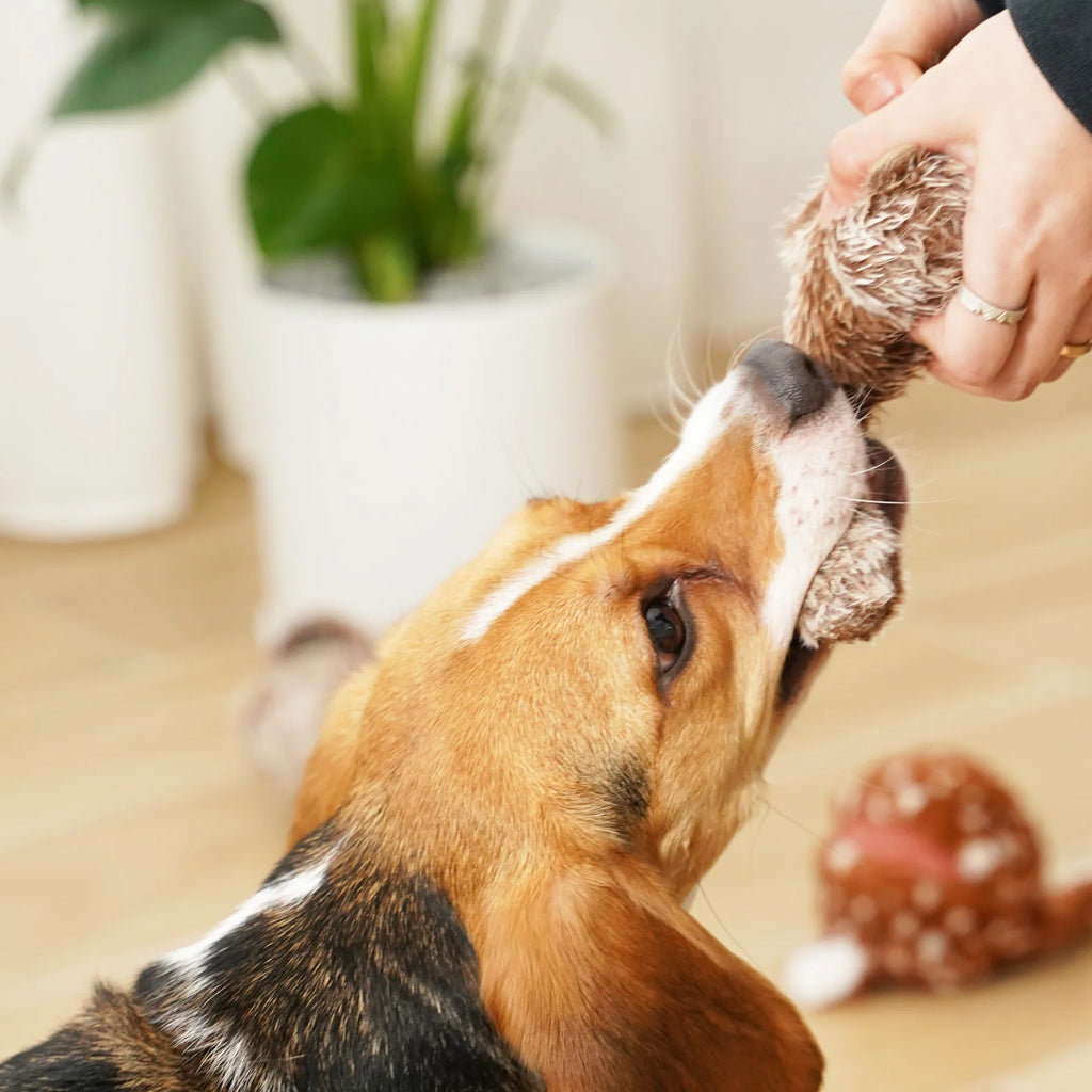 Пошукова іграшка SQUIRREL POP lambwolf collective