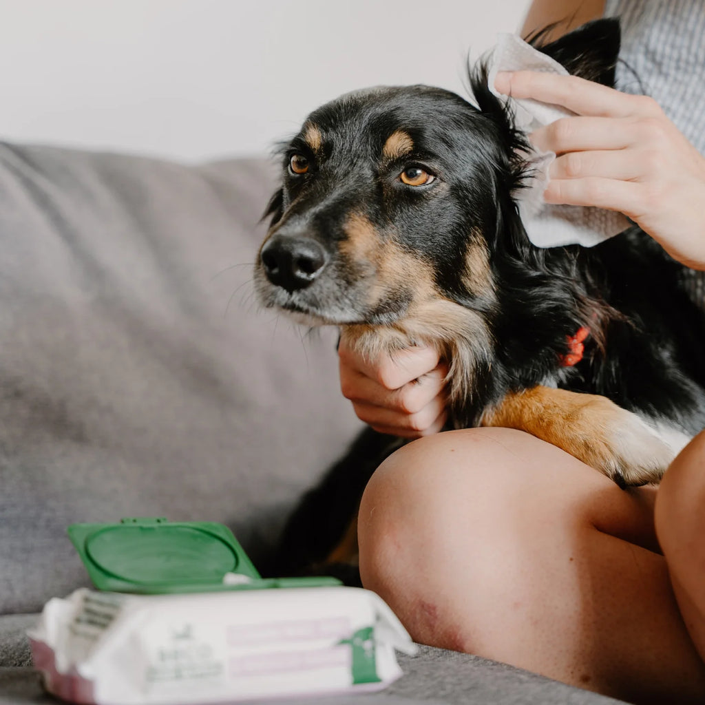 Бамбукові серветки для очищення вушок Dog Ear Wipes Beco Pets 70 шт
