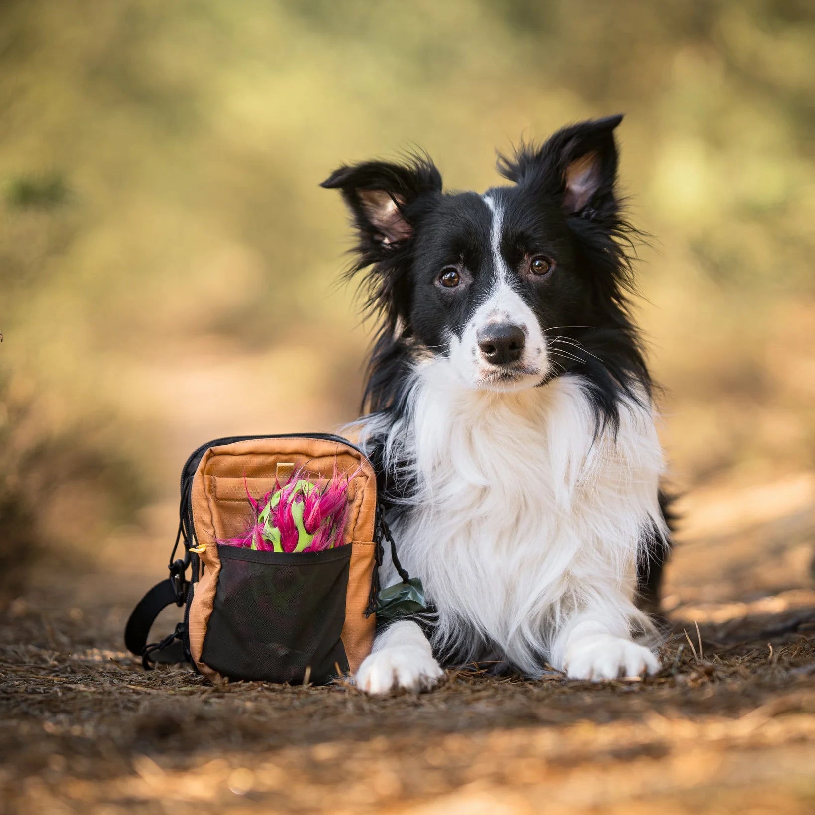 Сумка для прогулянок, пляшки та аксесуарів Hydration Shoulder Bag Wood Brown Mix Woolly Wolf
