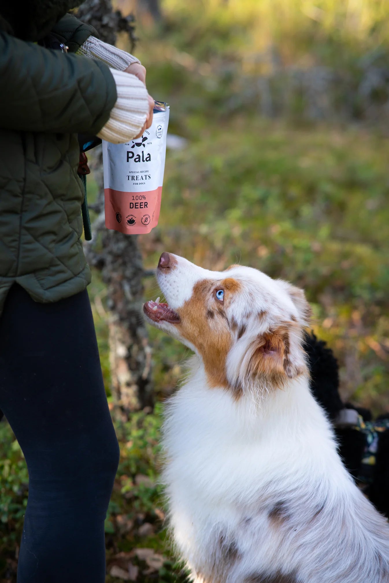 100% олень Treats Pala 100 г