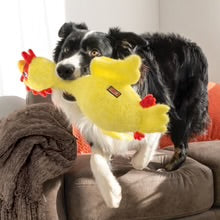Іграшка для собак Scruffs Chicken KONG