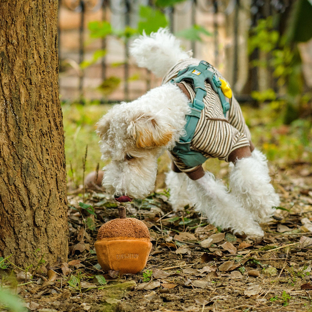 Пошукова іграшка Acorn Chewffon