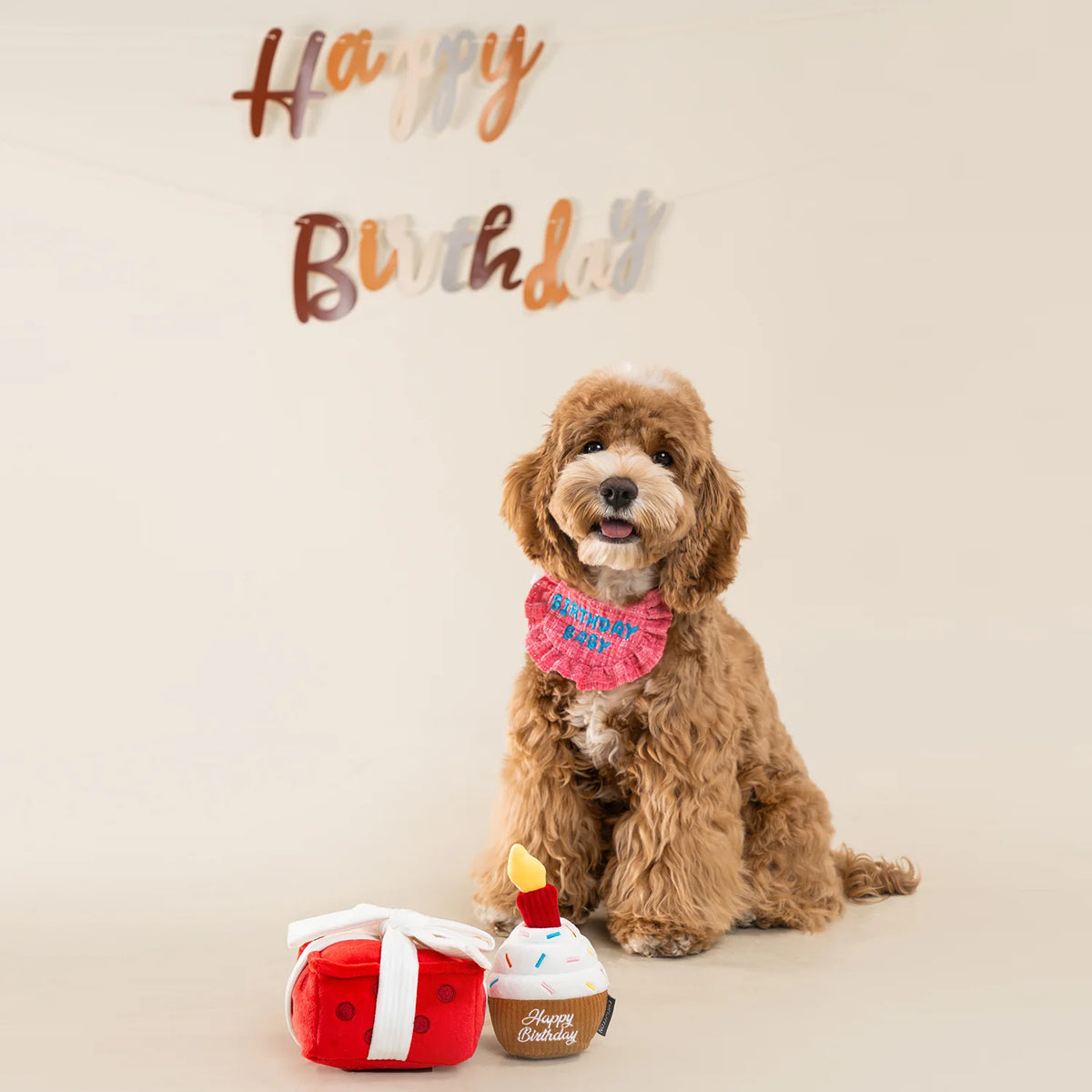 Пошукова іграшка Gift Box Chewffon