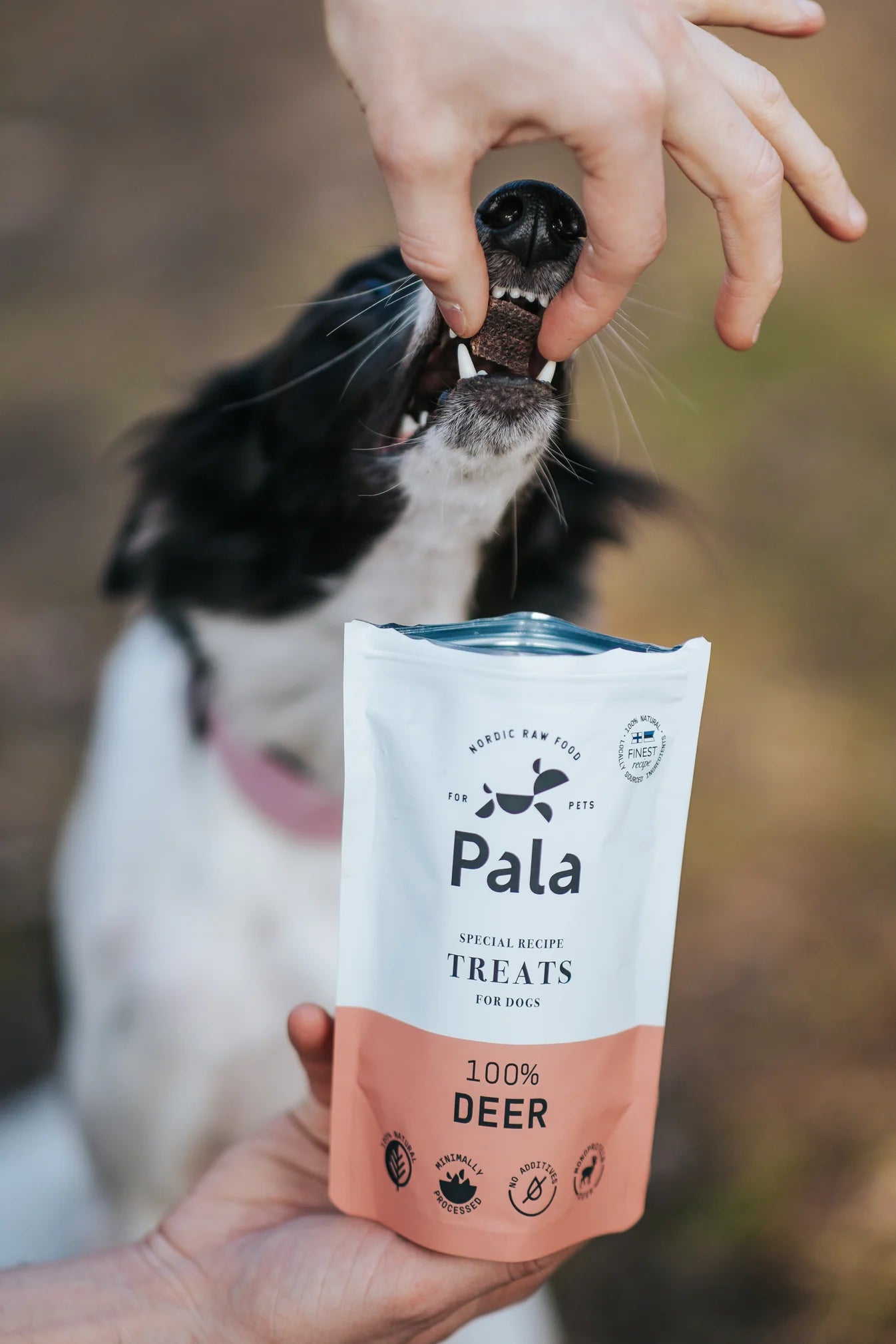 100% олень Treats Pala 100 г