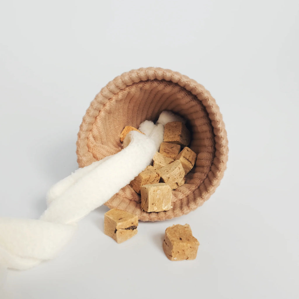 Пошукова іграшка ICE CREAM POP lambwolf collective