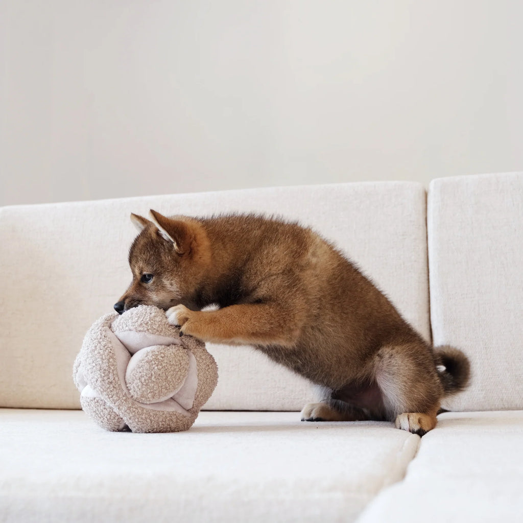 Пошукова іграшка MONTI OAT lambwolf collective