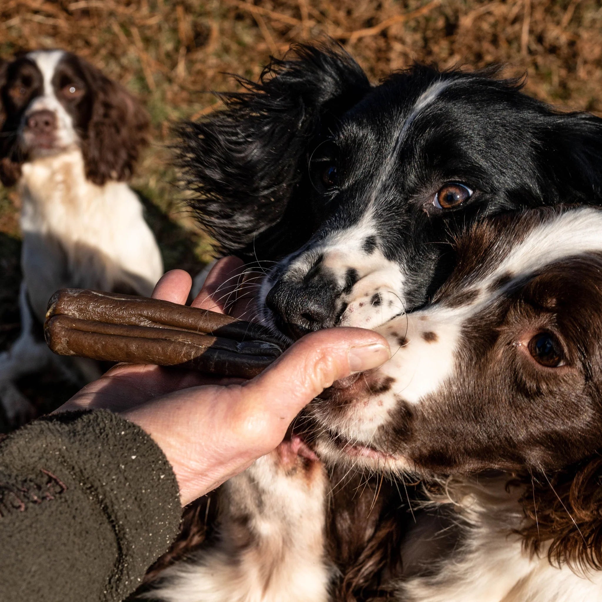 Ковбаски з баранини для підтримки здорової ротової порожнини Dental Support The Innocent Hound 5 шт