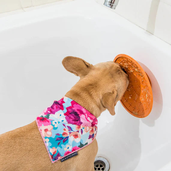 Лизальний килимок антистрес SPLASH LickiMat