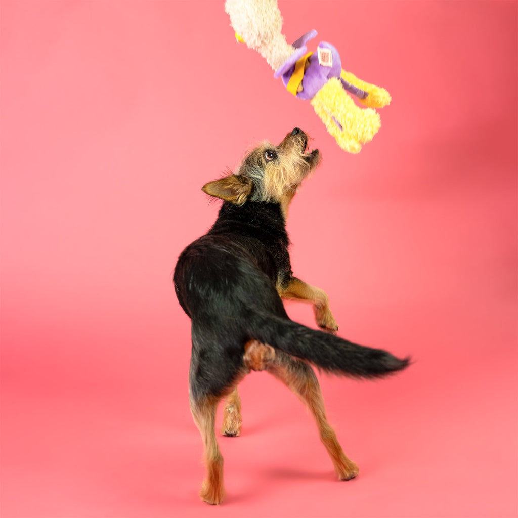 Пошукова іграшка OSTRIKRAKEN The Furryfolks