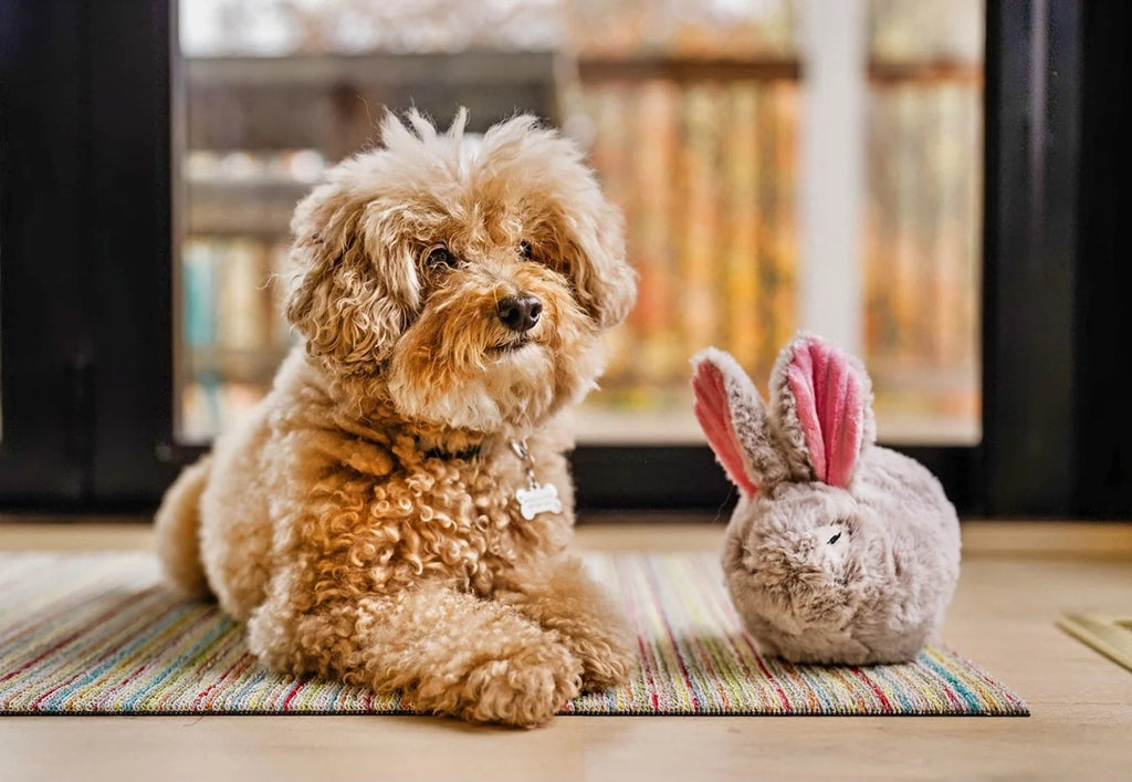 Іграшка Forest Friends Baxter the Bunny
