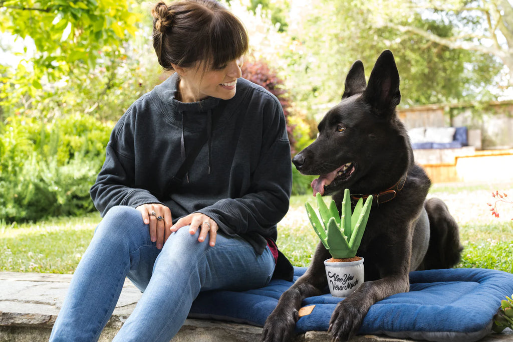 Іграшка Blooming Buddies Aloe-ve You Plant