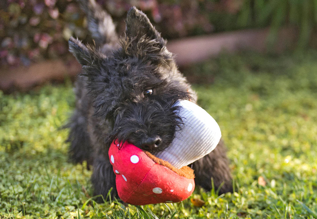 Іграшка Blooming Buddies Mutt's Mushroom