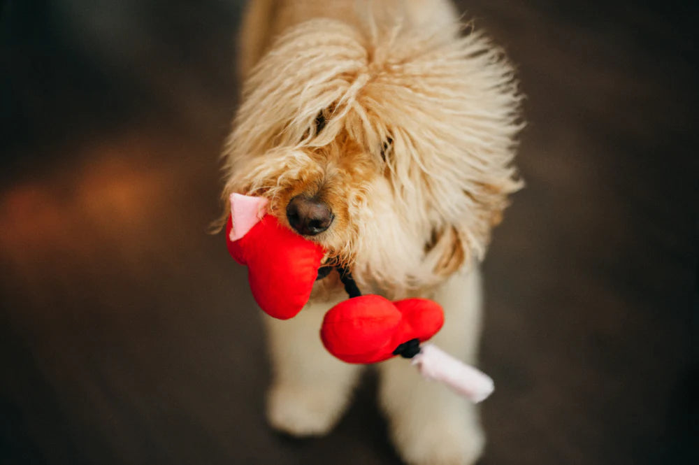 Іграшка Puppy Love Fur-ever Hearts
