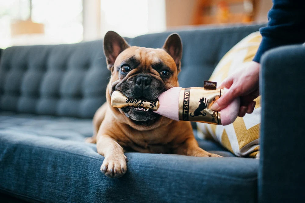 Іграшка Puppy Love Barking Bubbly