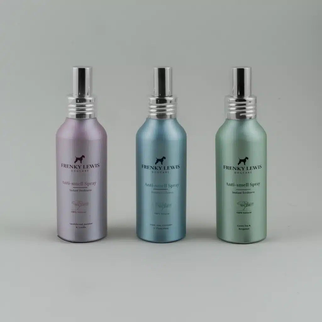 Спрей проти запаху Green Tea & Bergamot Signature Frenky Lewis 100 мл
