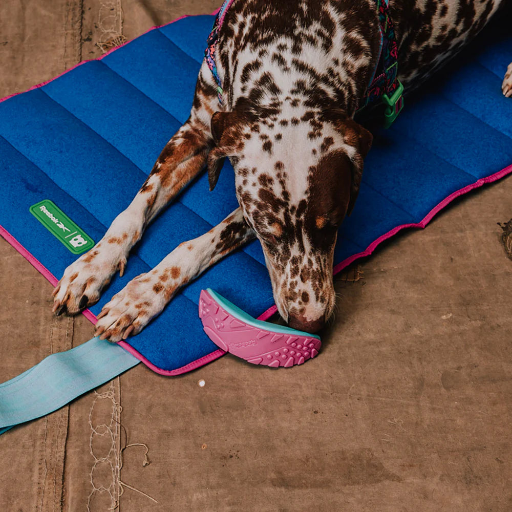 Іграшка Boomerang Zee.Dog
