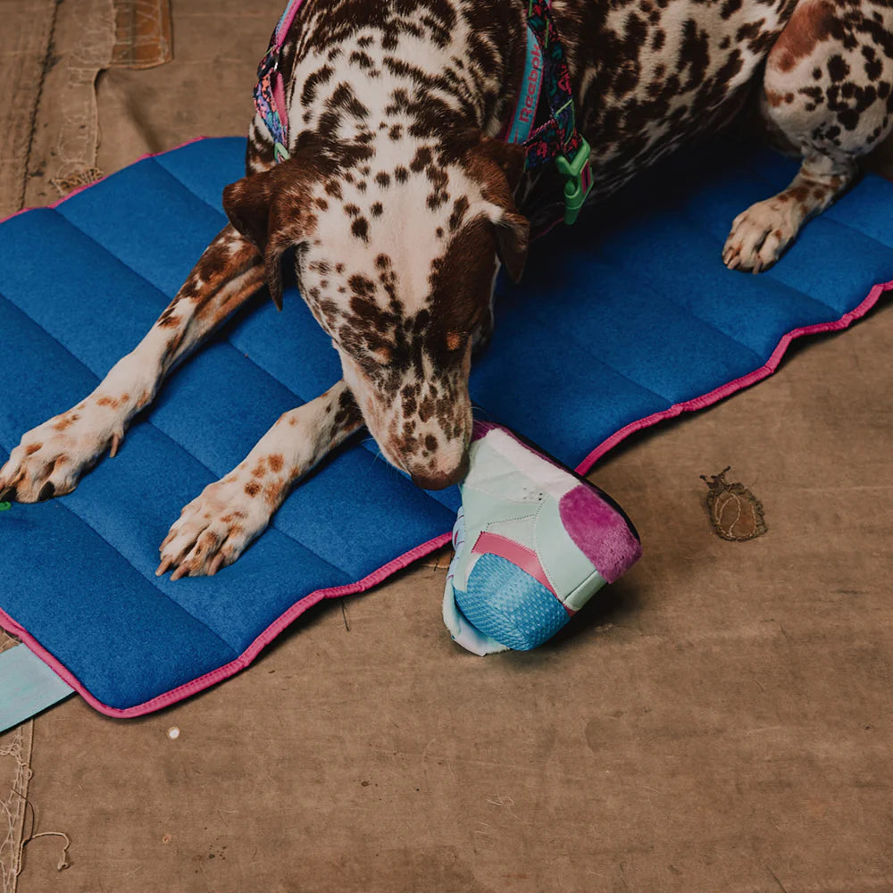 Іграшка Freestyle Hi Sneaker Zee.Dog x REEBOK