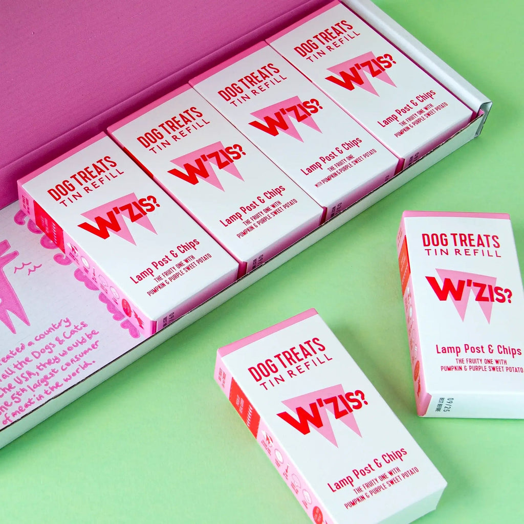 Веганські смаколики в коробочках ліхтар та чіпси Lamp Post & Chips W'ZIS 48 г