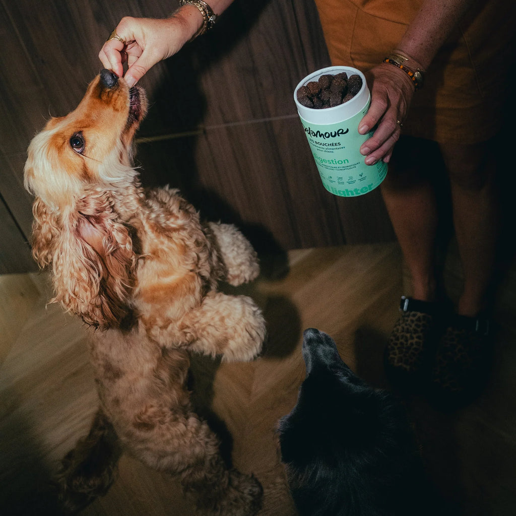 Байтси для травлення Les Bouchées Digestion Delamour Paris