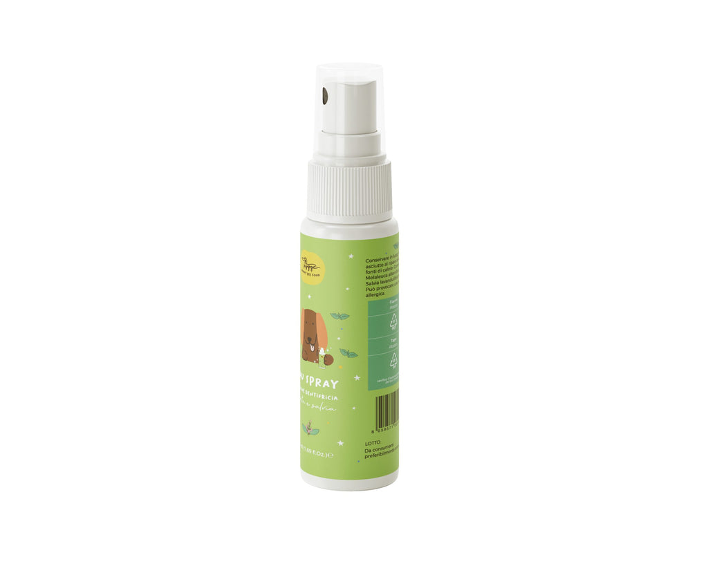 Спрей для здоровʼя ротової порожнини Bau Spray Hygge 50 мл