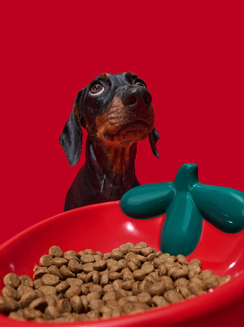 Керамічна миска Strawberry Ceramic Pet Bowl Vetreska