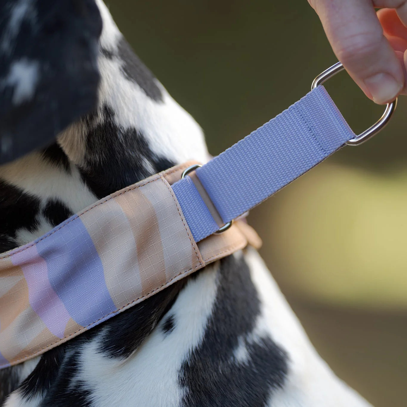 Нашийник Martingale Sunshower Woolly Wolf