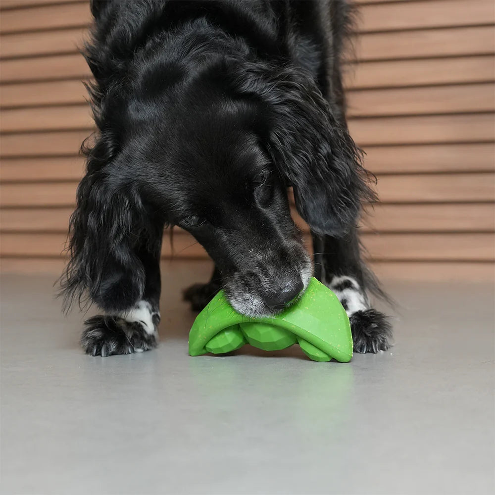 Іграшка Superveggiez Green Peas Zee.Dog