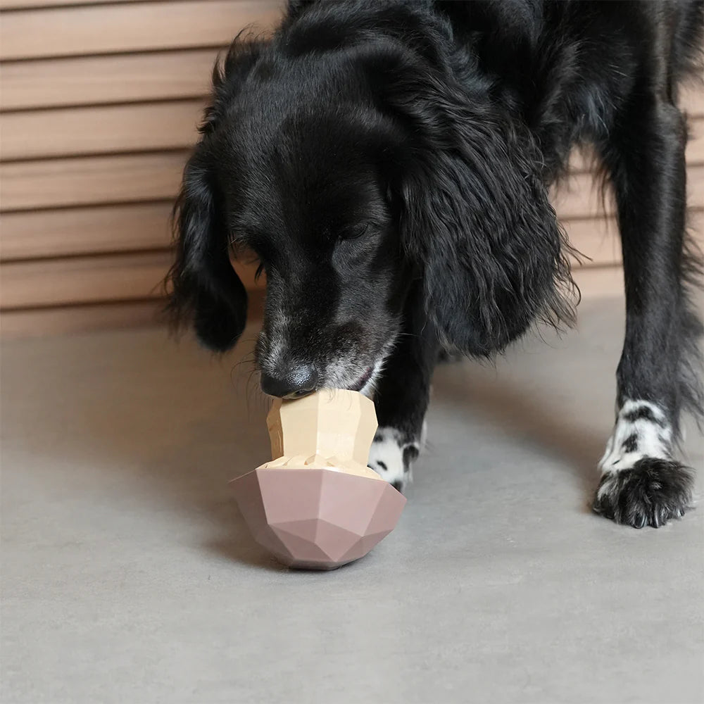 Іграшка Superveggiez Mushroom Zee.Dog