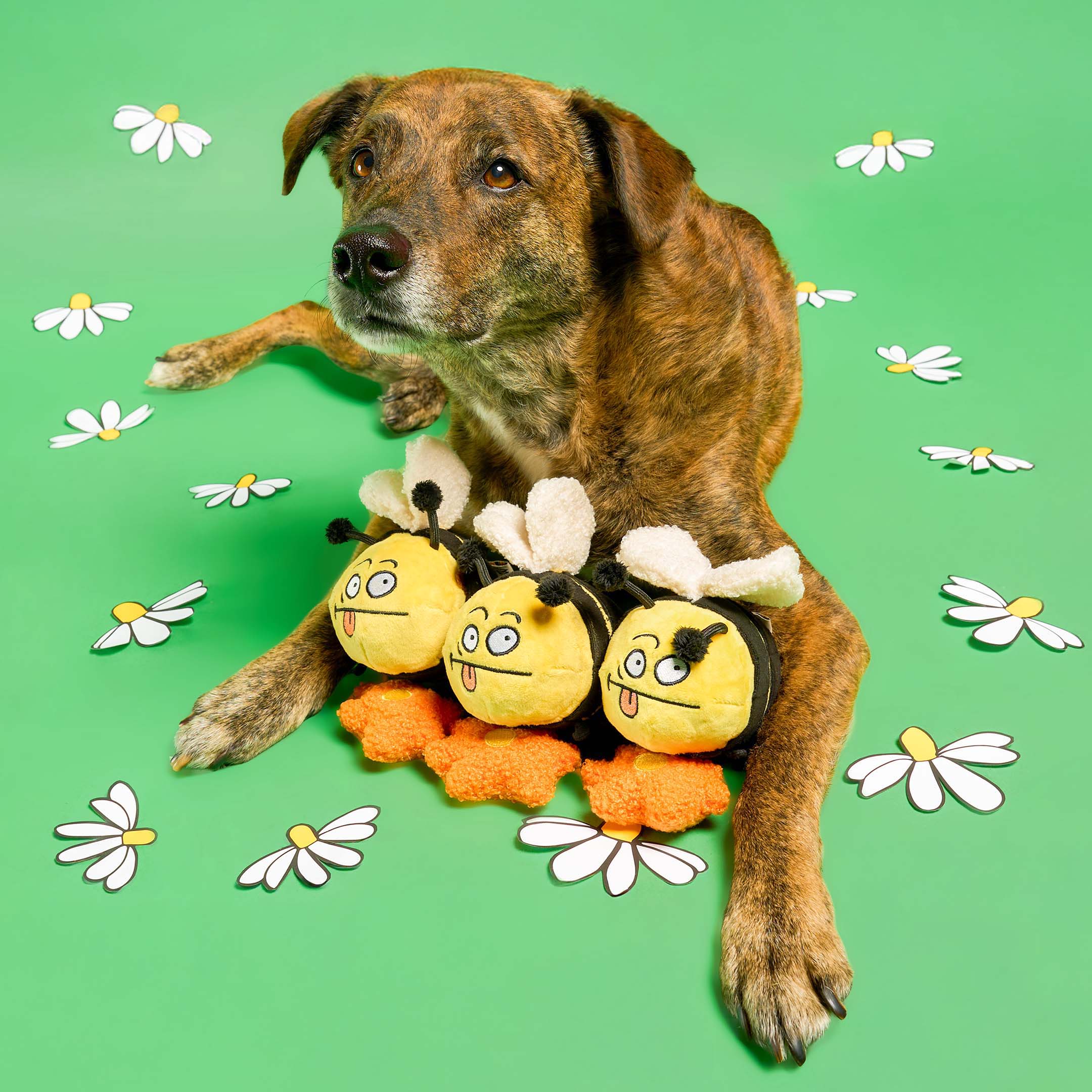 Пошукова іграшка BEE HAPPY The Furryfolks