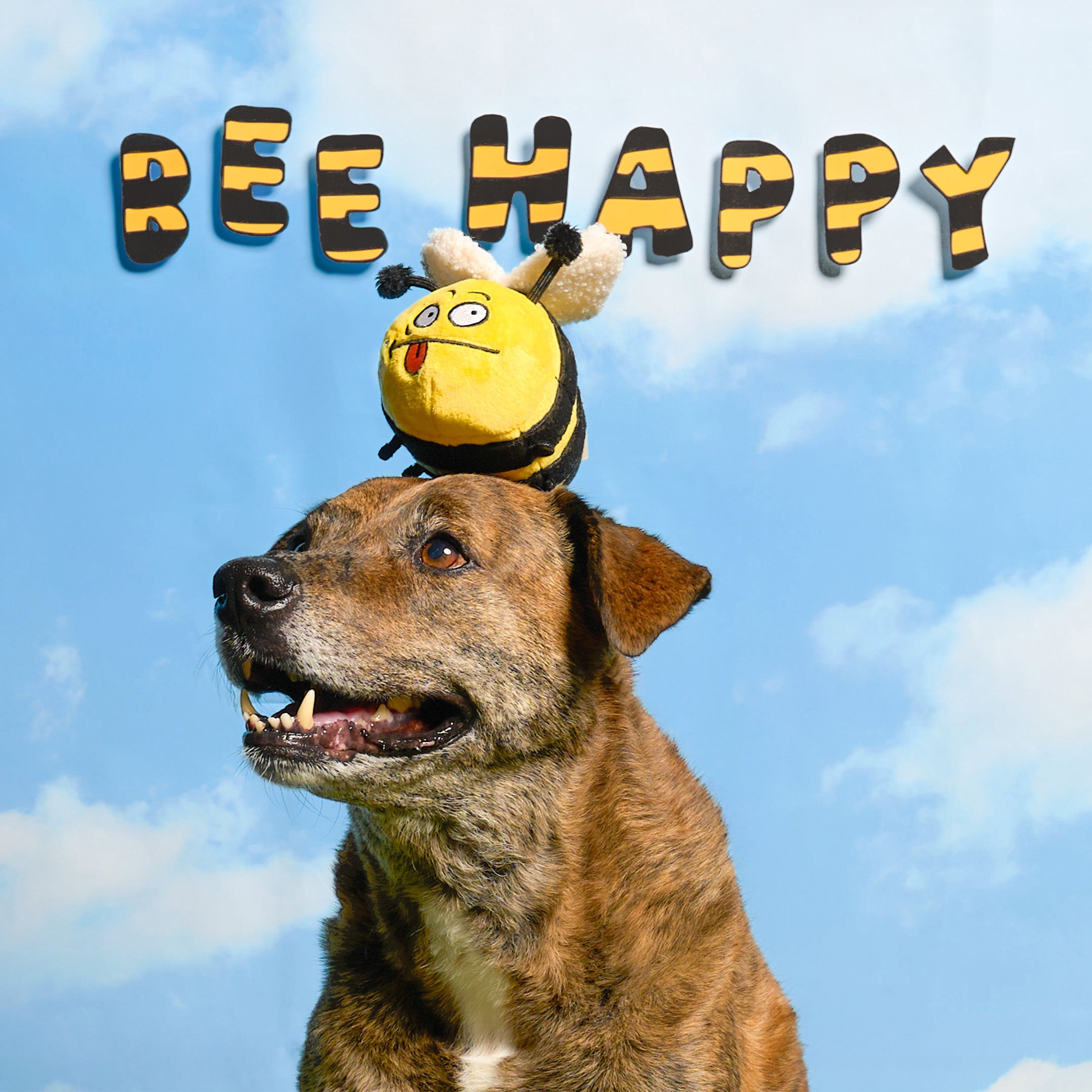 Пошукова іграшка BEE HAPPY The Furryfolks