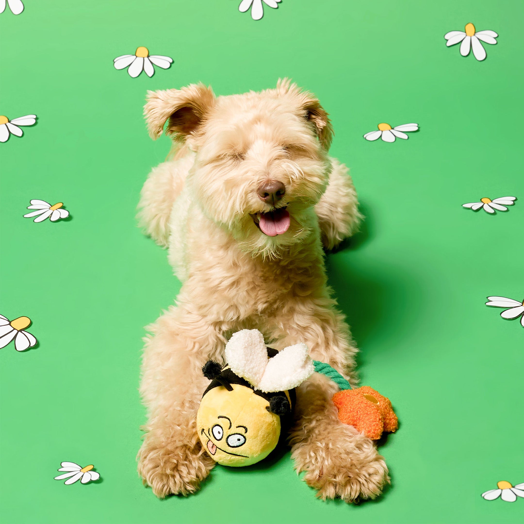 Пошукова іграшка BEE HAPPY The Furryfolks