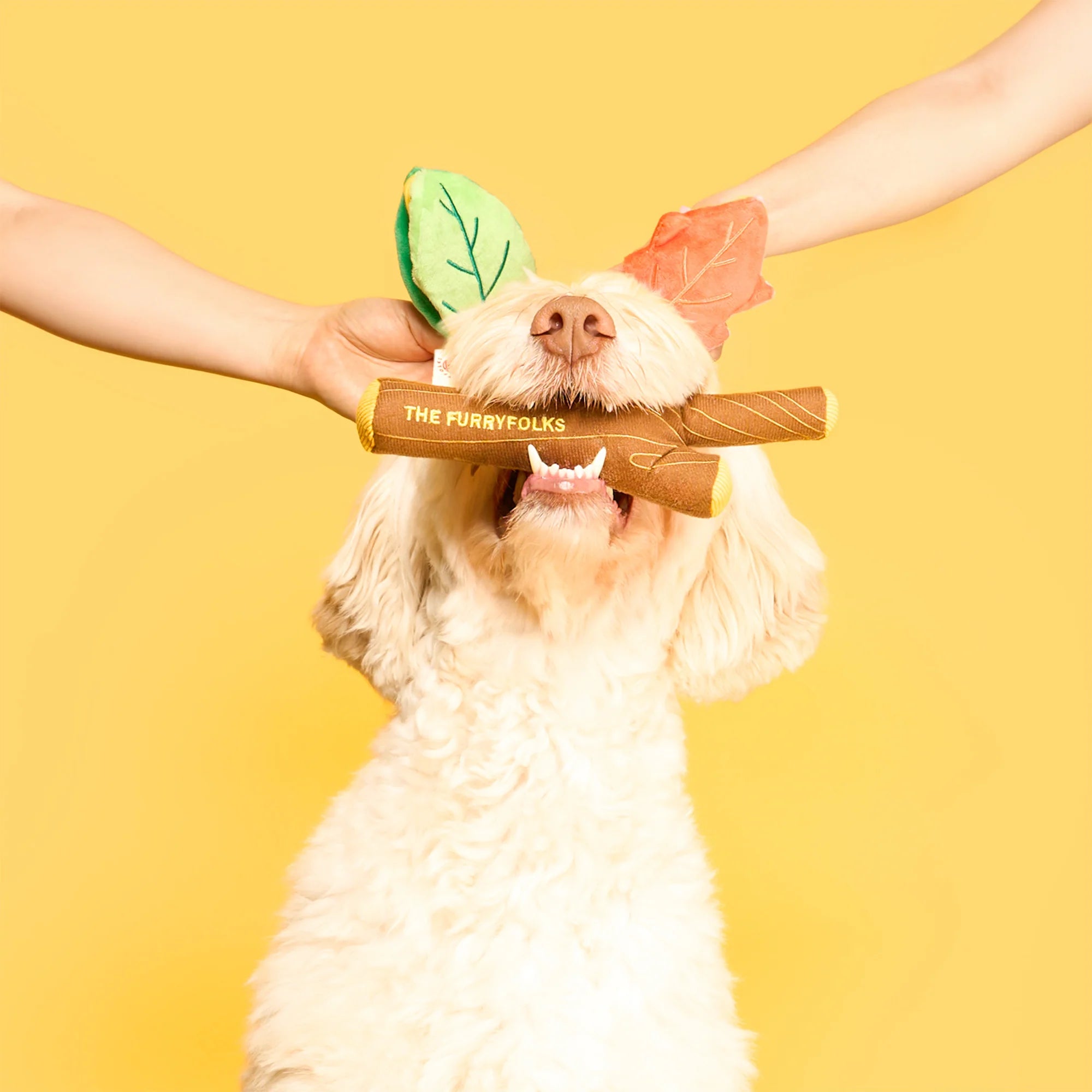 Пошукова іграшка BRANCH MANAGER'S BRANCH The Furryfolks