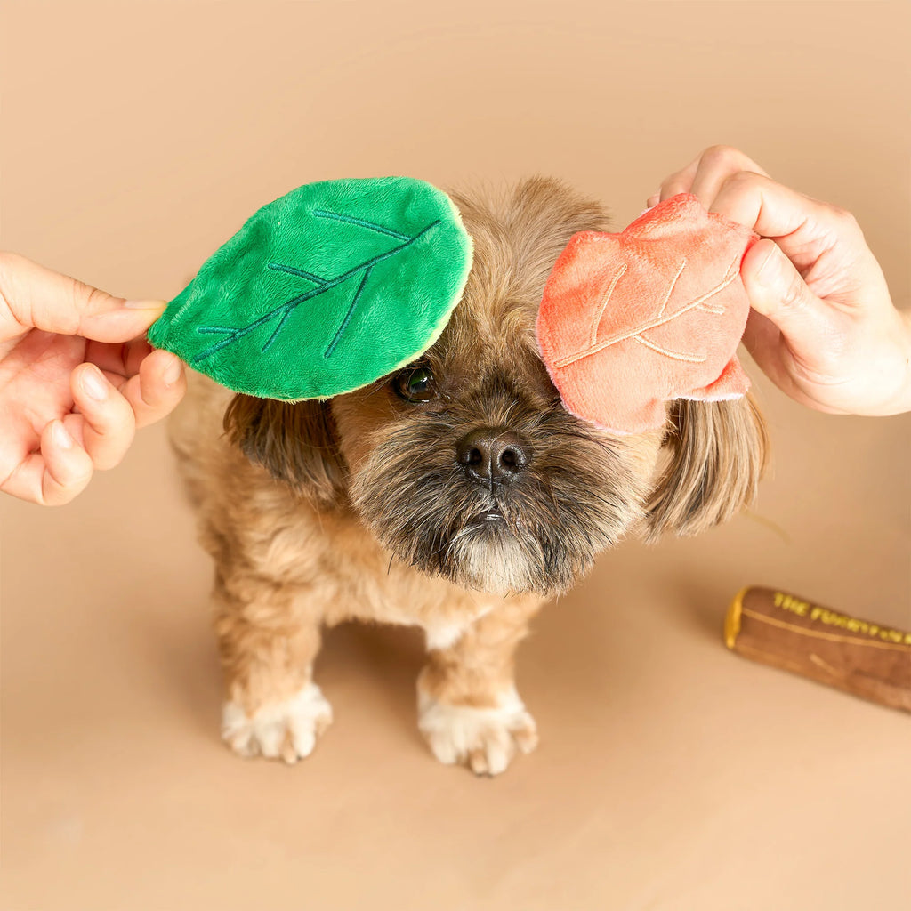Пошукова іграшка BRANCH MANAGER'S BRANCH The Furryfolks