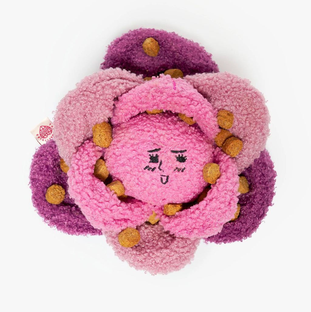 Пошукова іграшка RED CABBAGE The Furryfolks