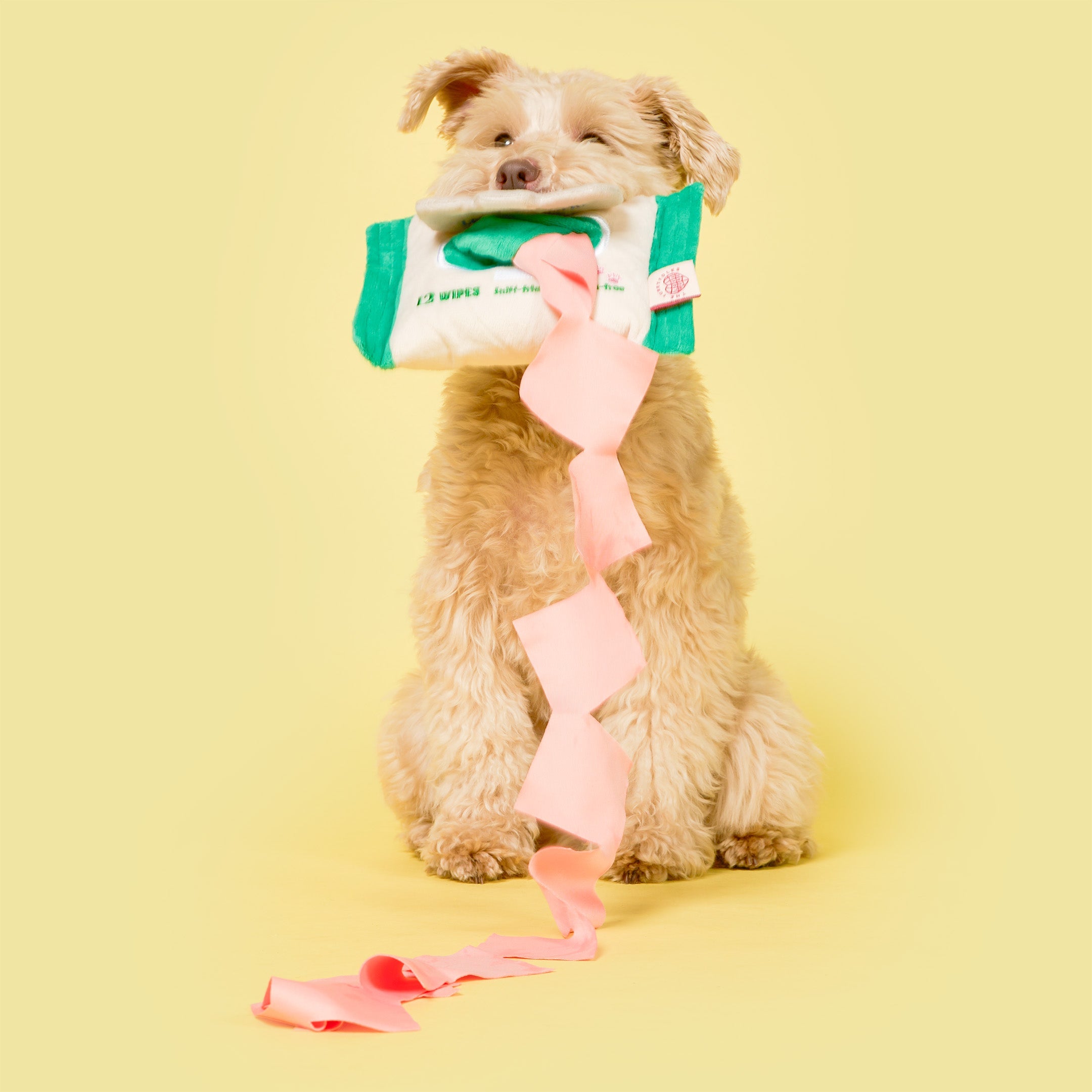 Пошукова іграшка Doggo Wipe The Furryfolks