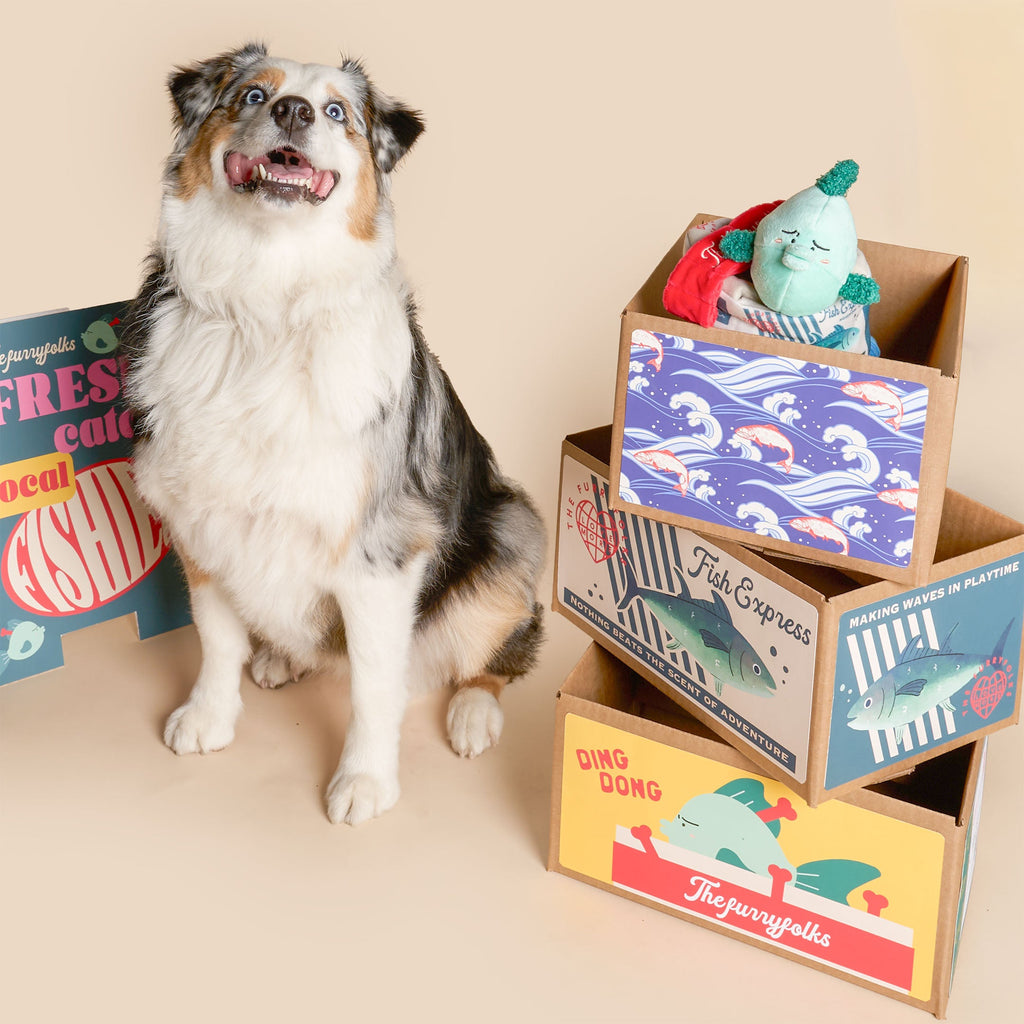 Пошукова іграшка FISH EXPRESS The Furryfolks