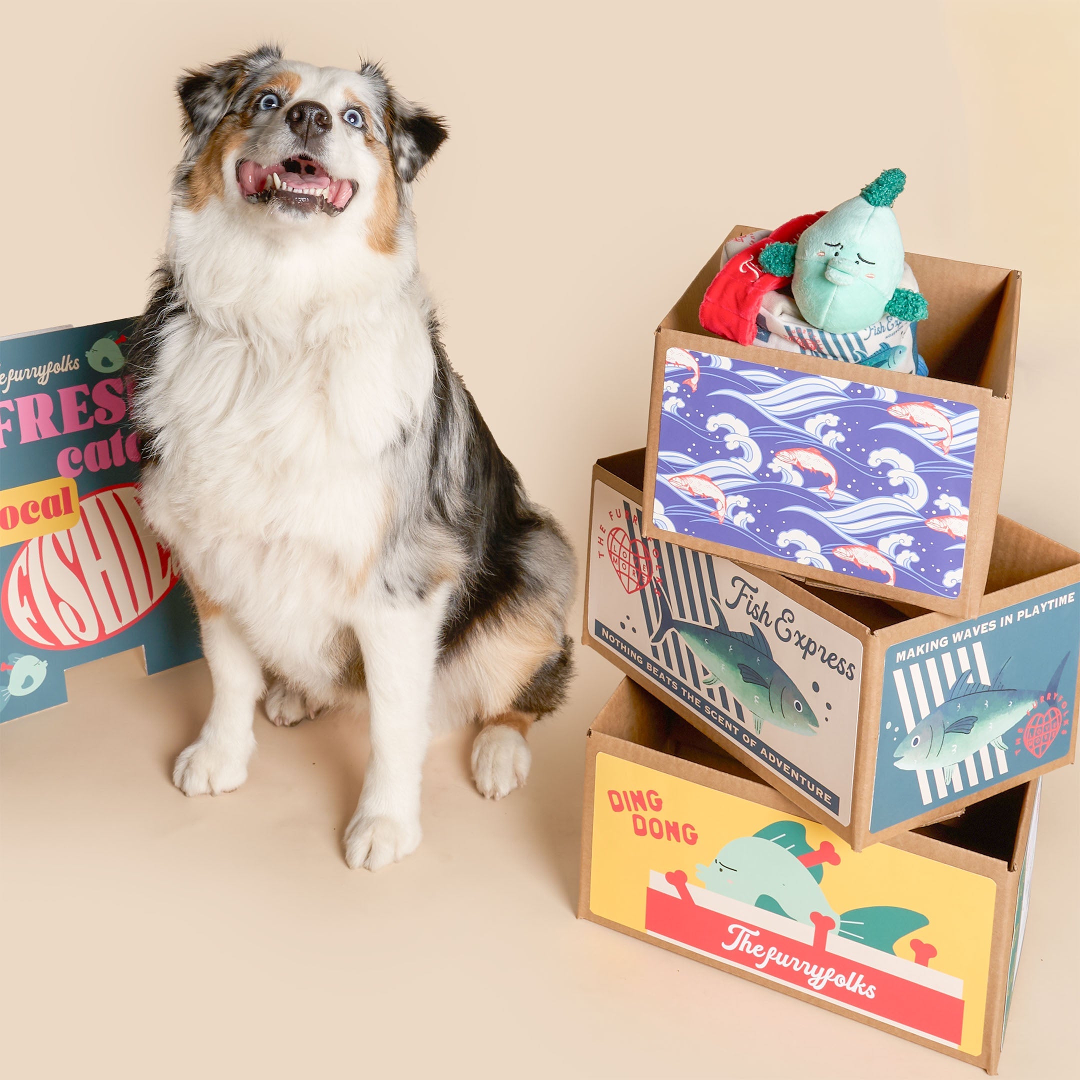 Пошукова іграшка FISH EXPRESS The Furryfolks