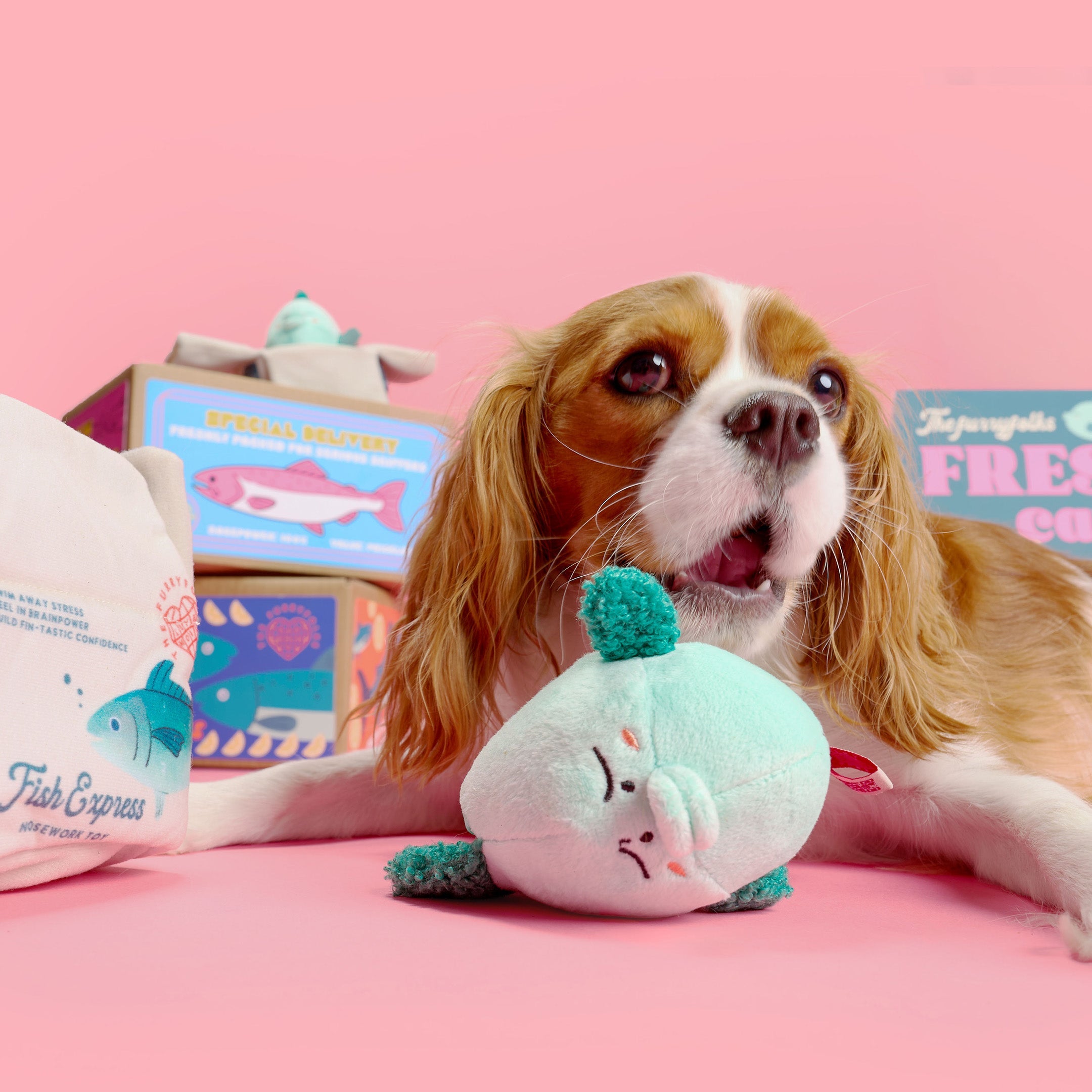 Пошукова іграшка FISH EXPRESS The Furryfolks