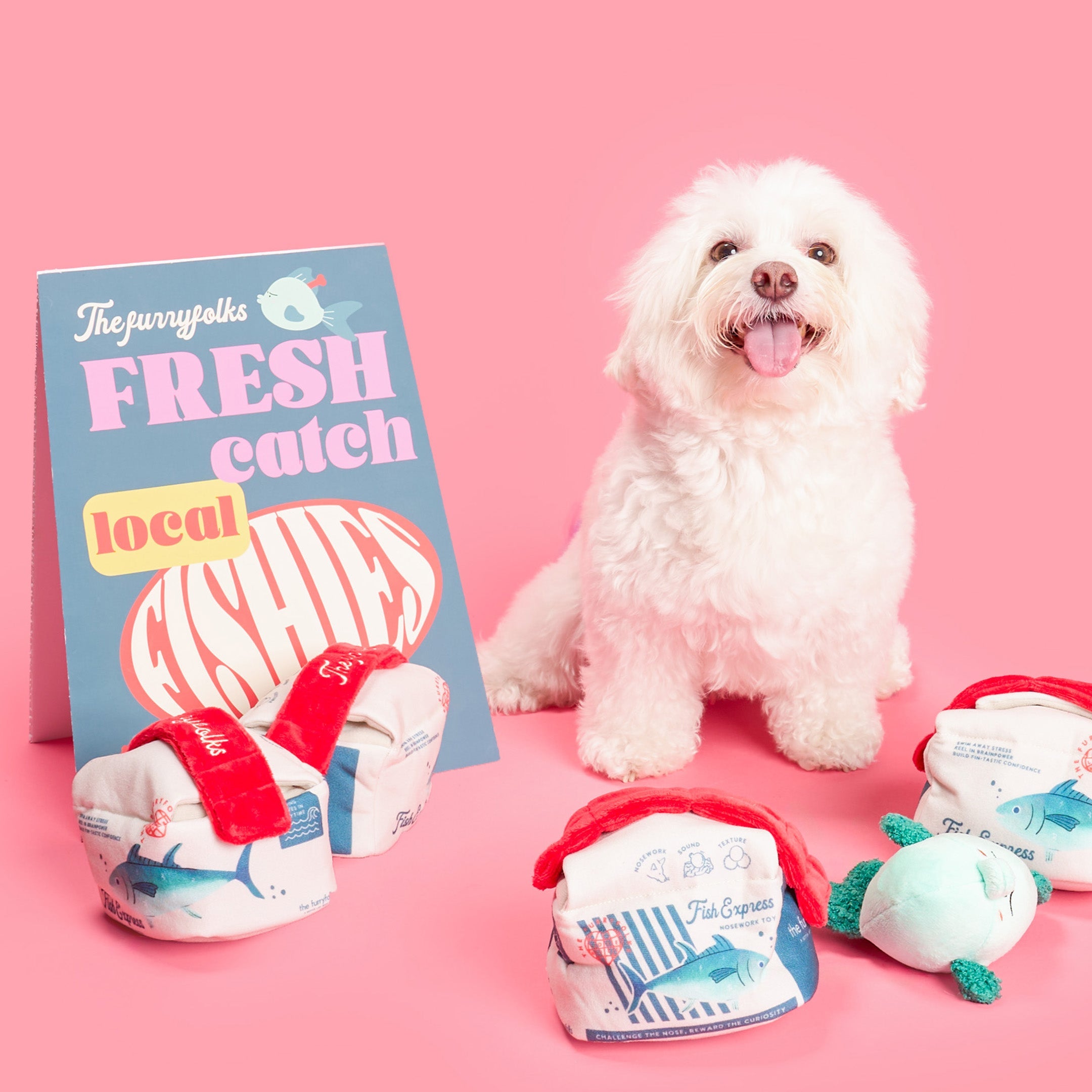 Пошукова іграшка FISH EXPRESS The Furryfolks