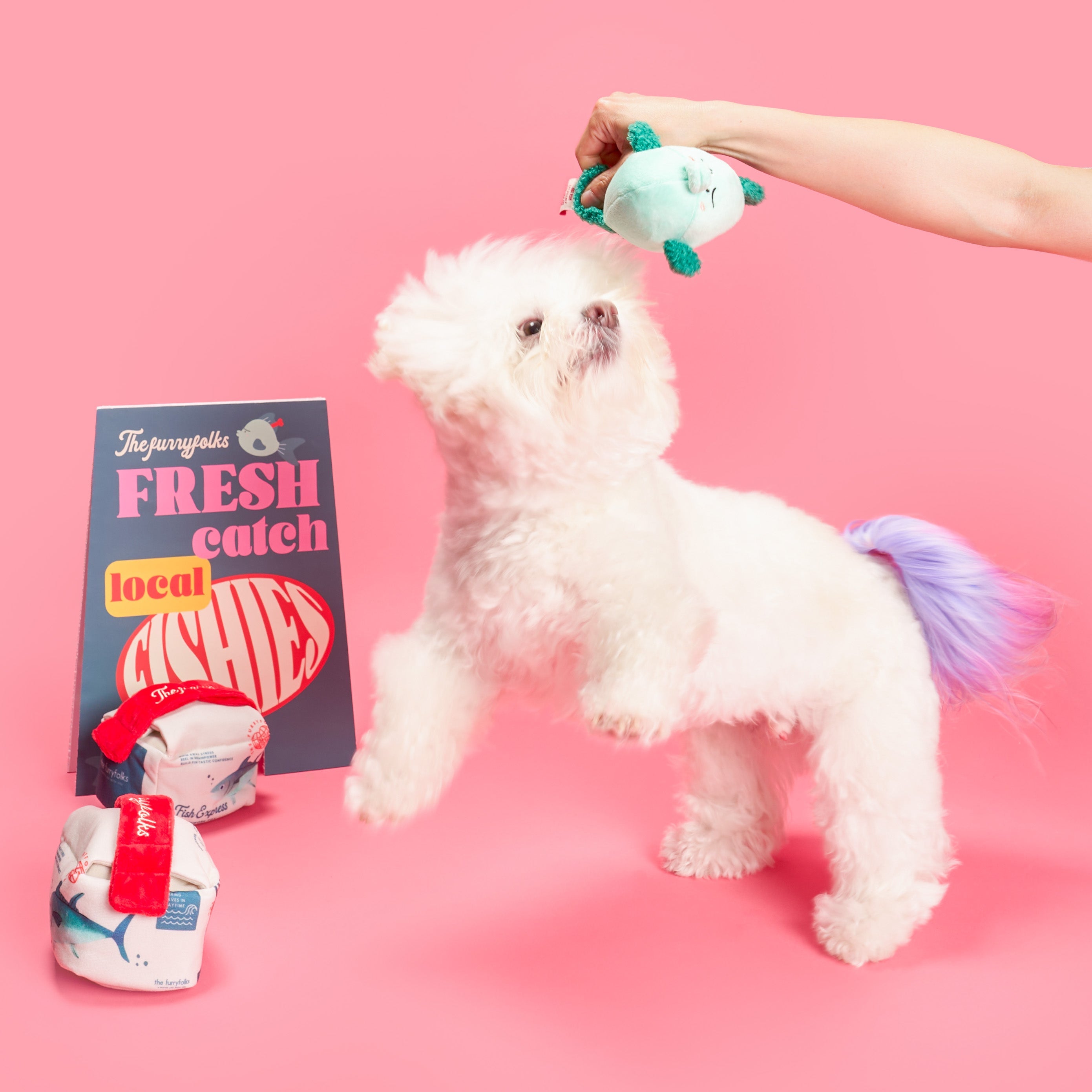 Пошукова іграшка FISH EXPRESS The Furryfolks