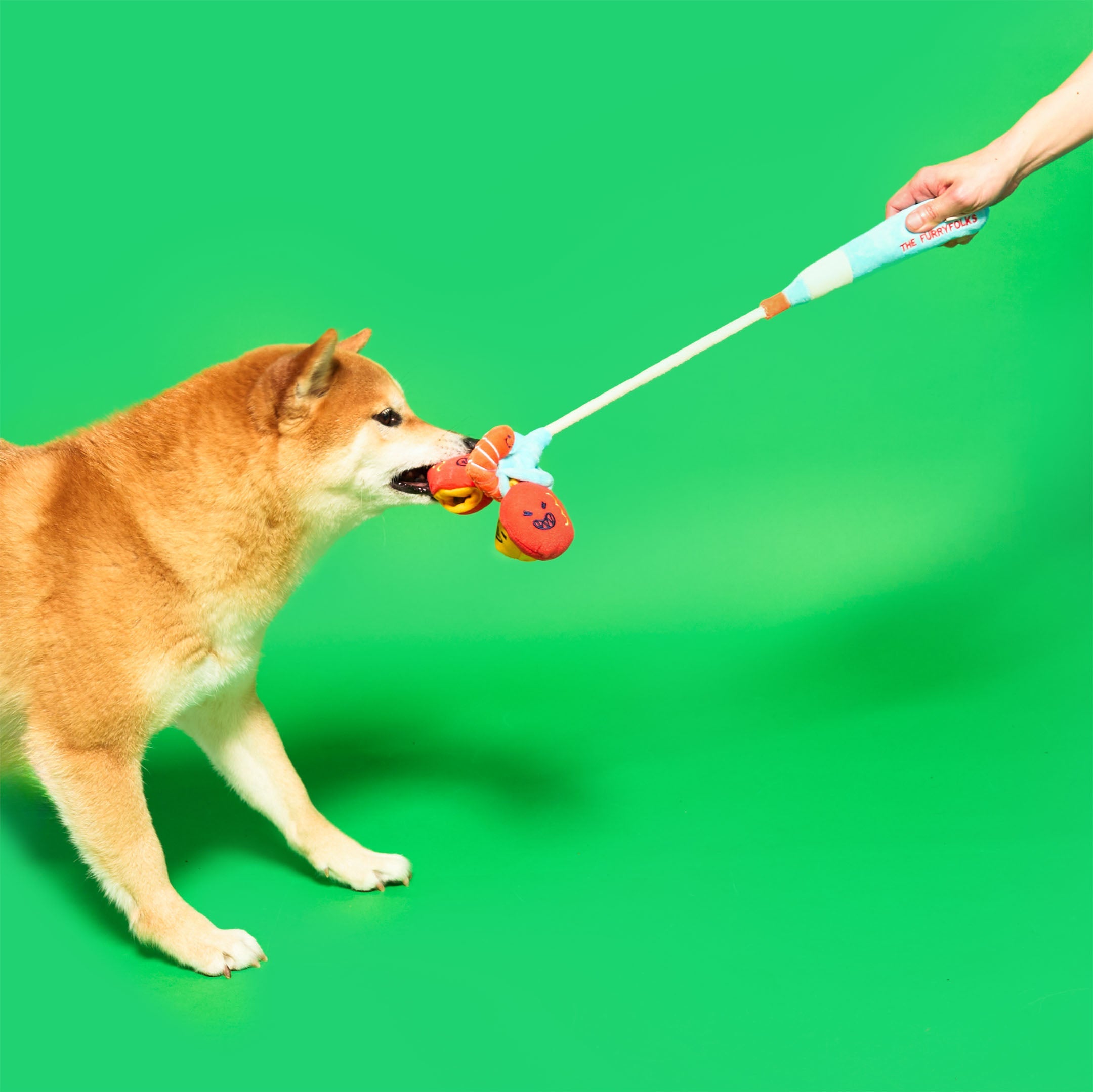 Пошукова іграшка FISHING The Furryfolks