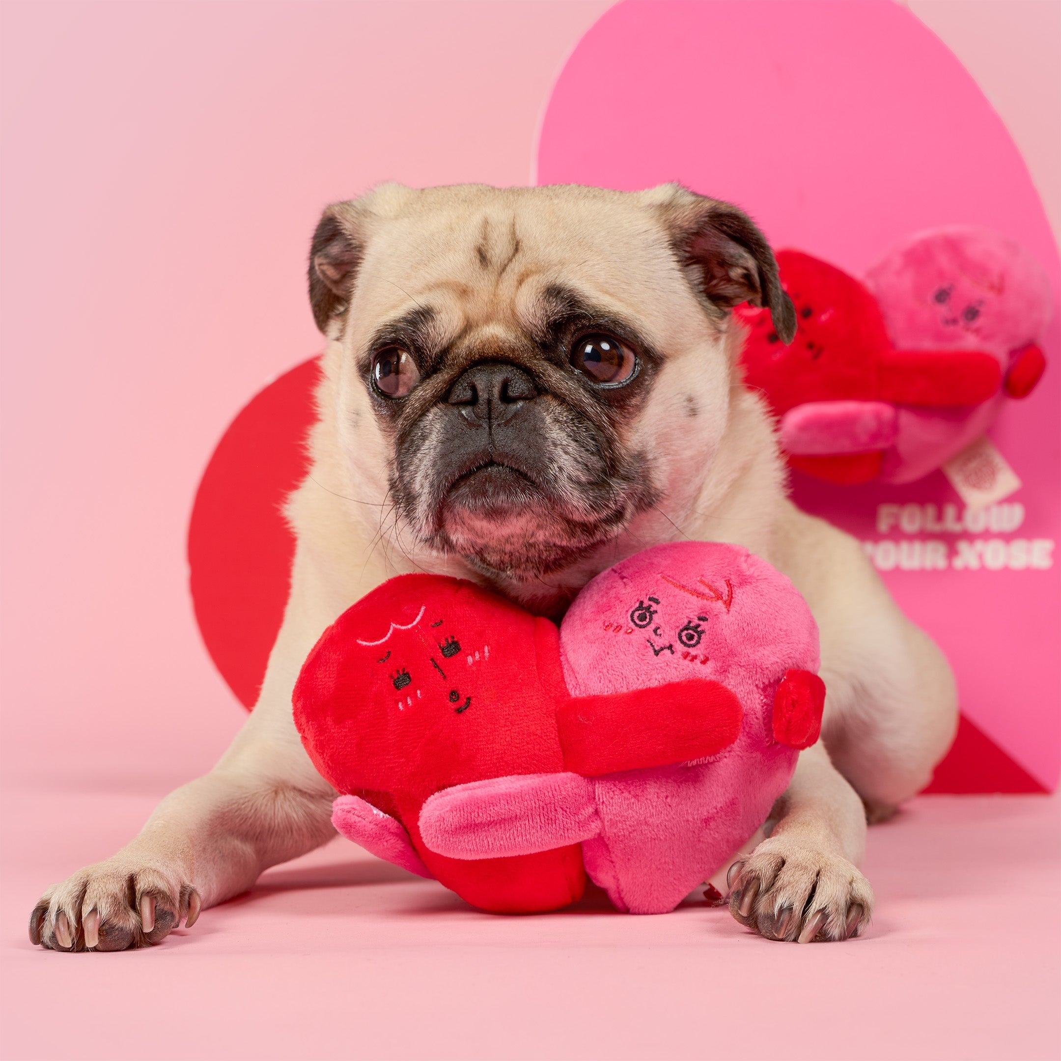 Пошукова іграшка LOVE LOCKED The Furryfolks