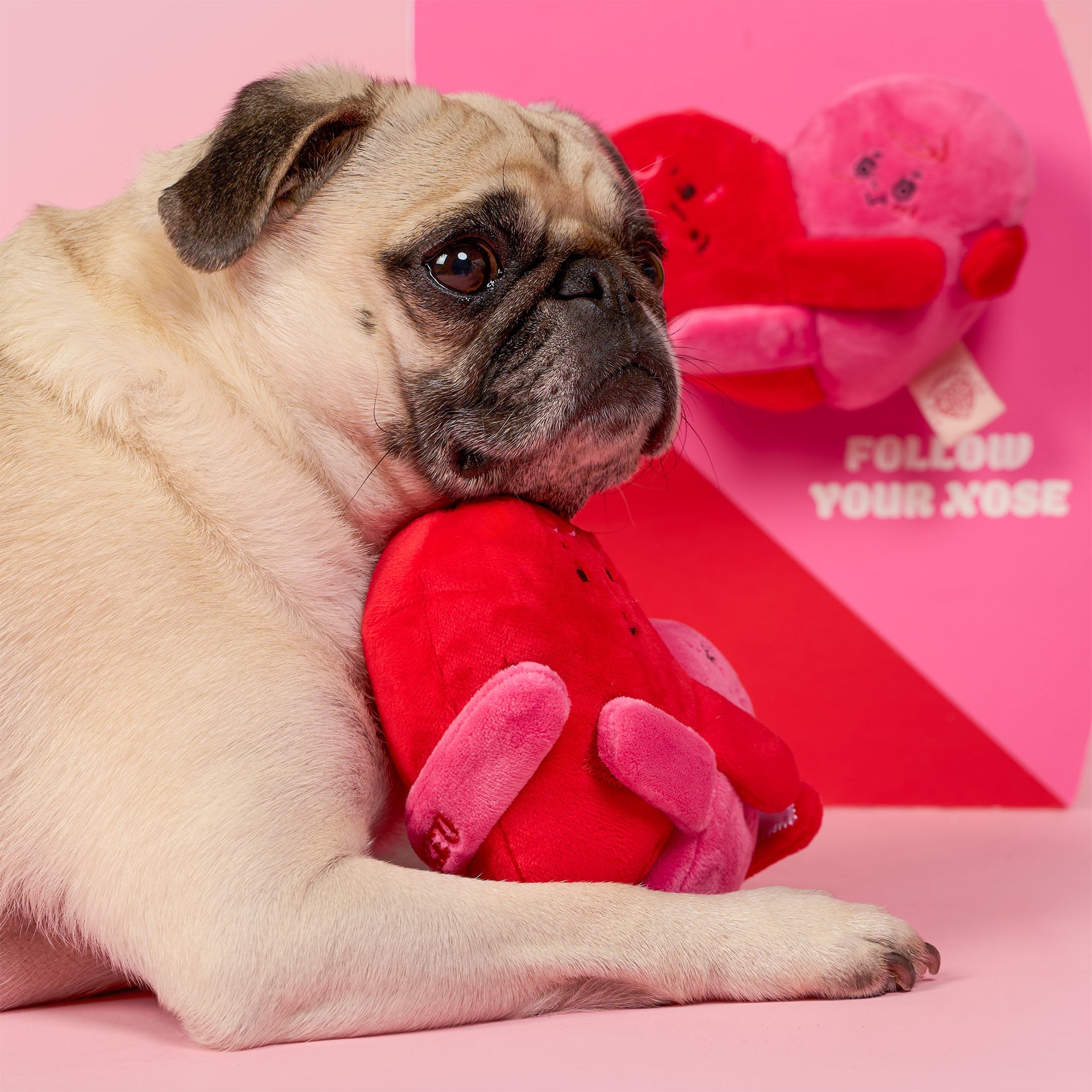 Пошукова іграшка LOVE LOCKED The Furryfolks