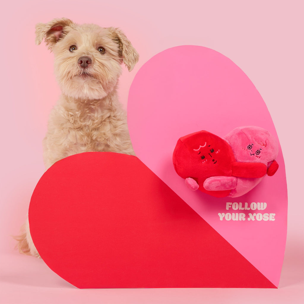Пошукова іграшка LOVE LOCKED The Furryfolks