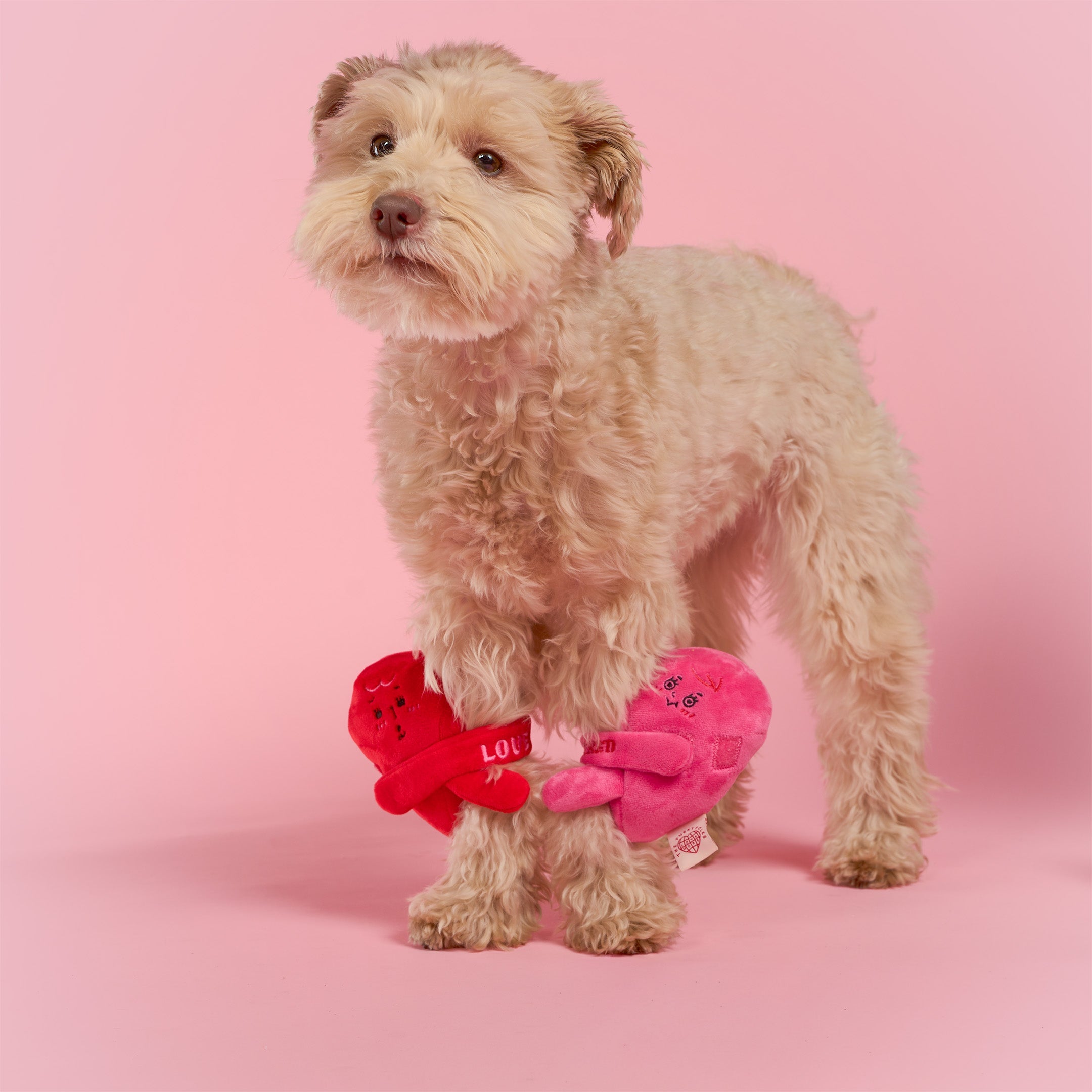 Пошукова іграшка LOVE LOCKED The Furryfolks