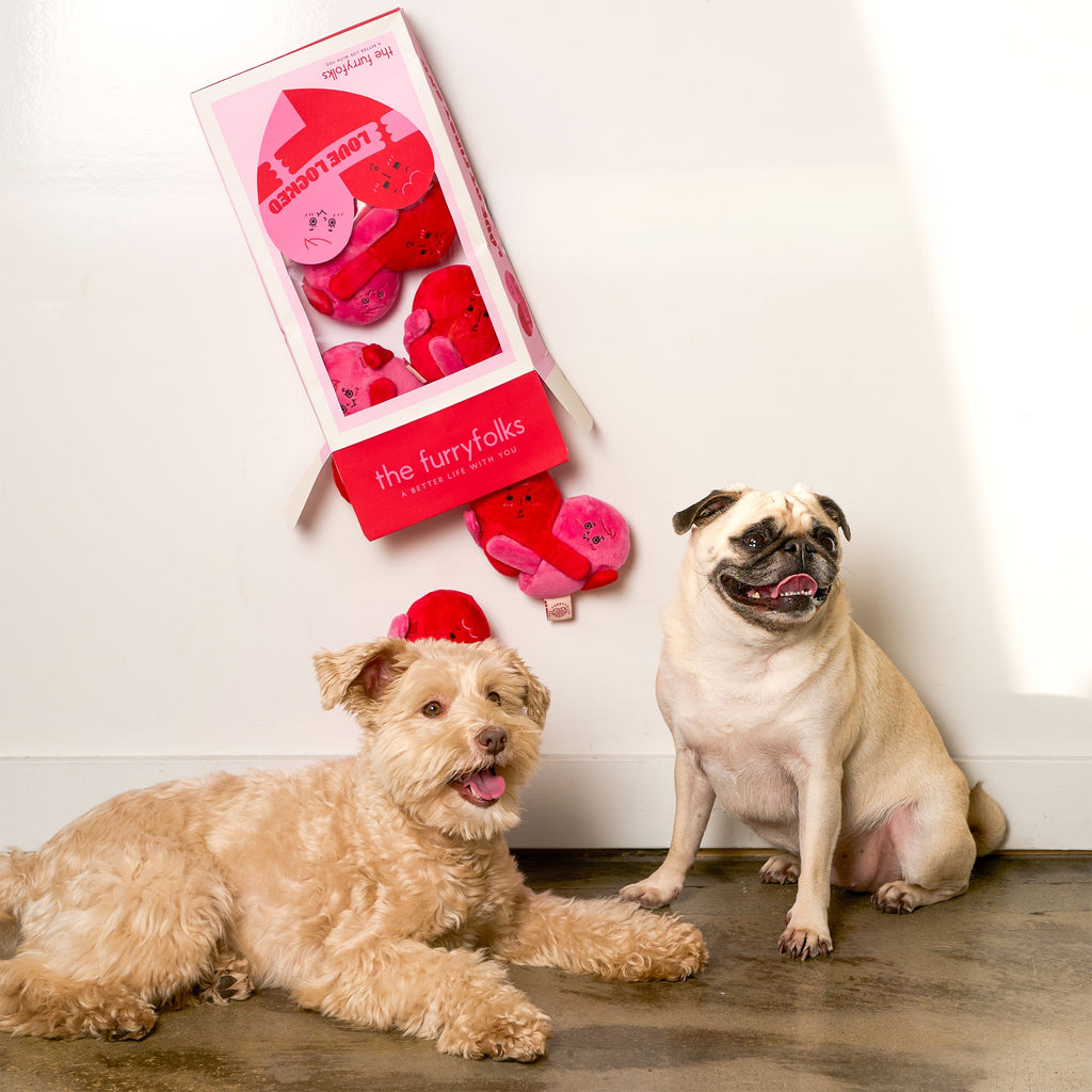 Пошукова іграшка LOVE LOCKED The Furryfolks