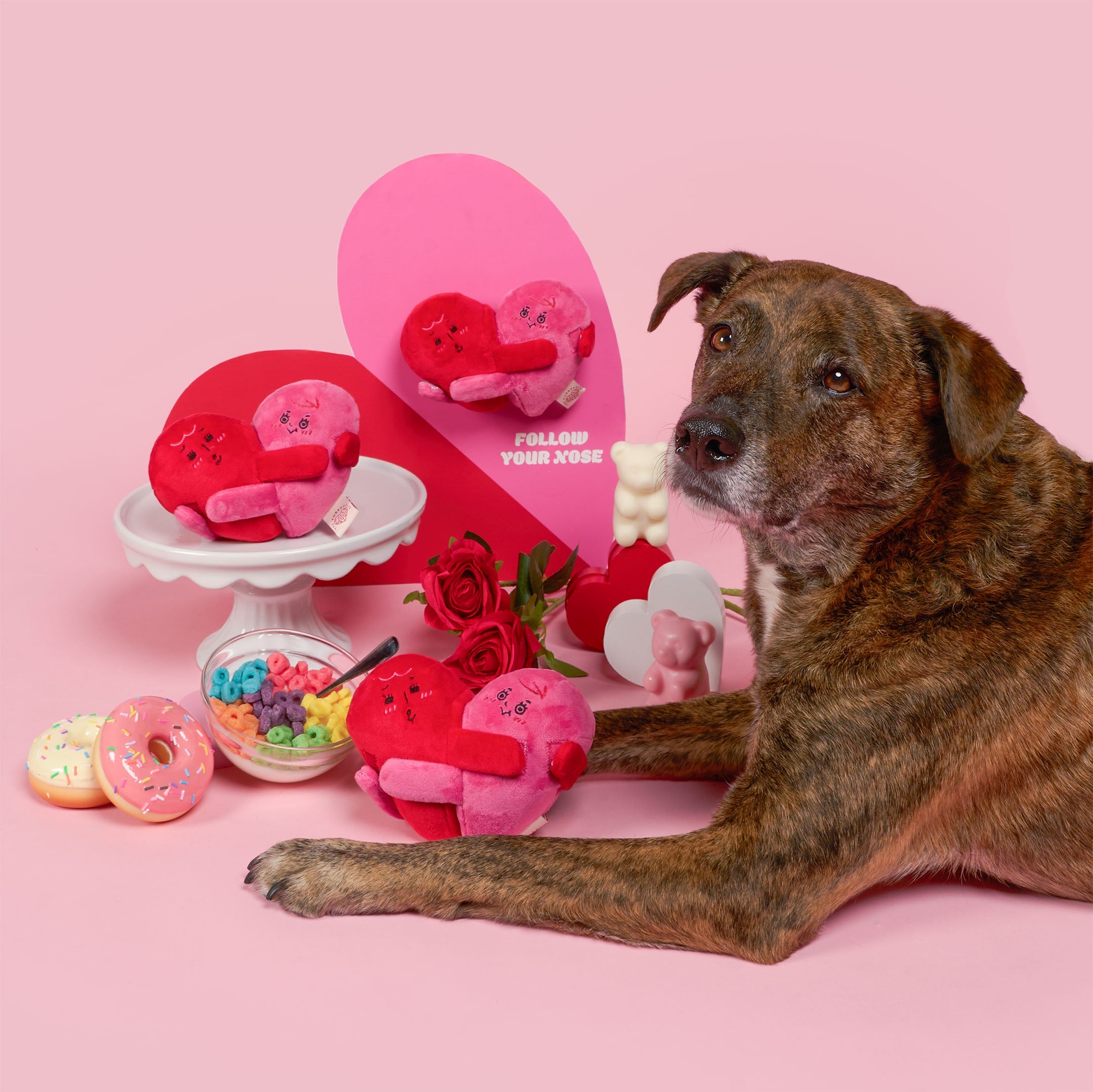 Пошукова іграшка LOVE LOCKED The Furryfolks