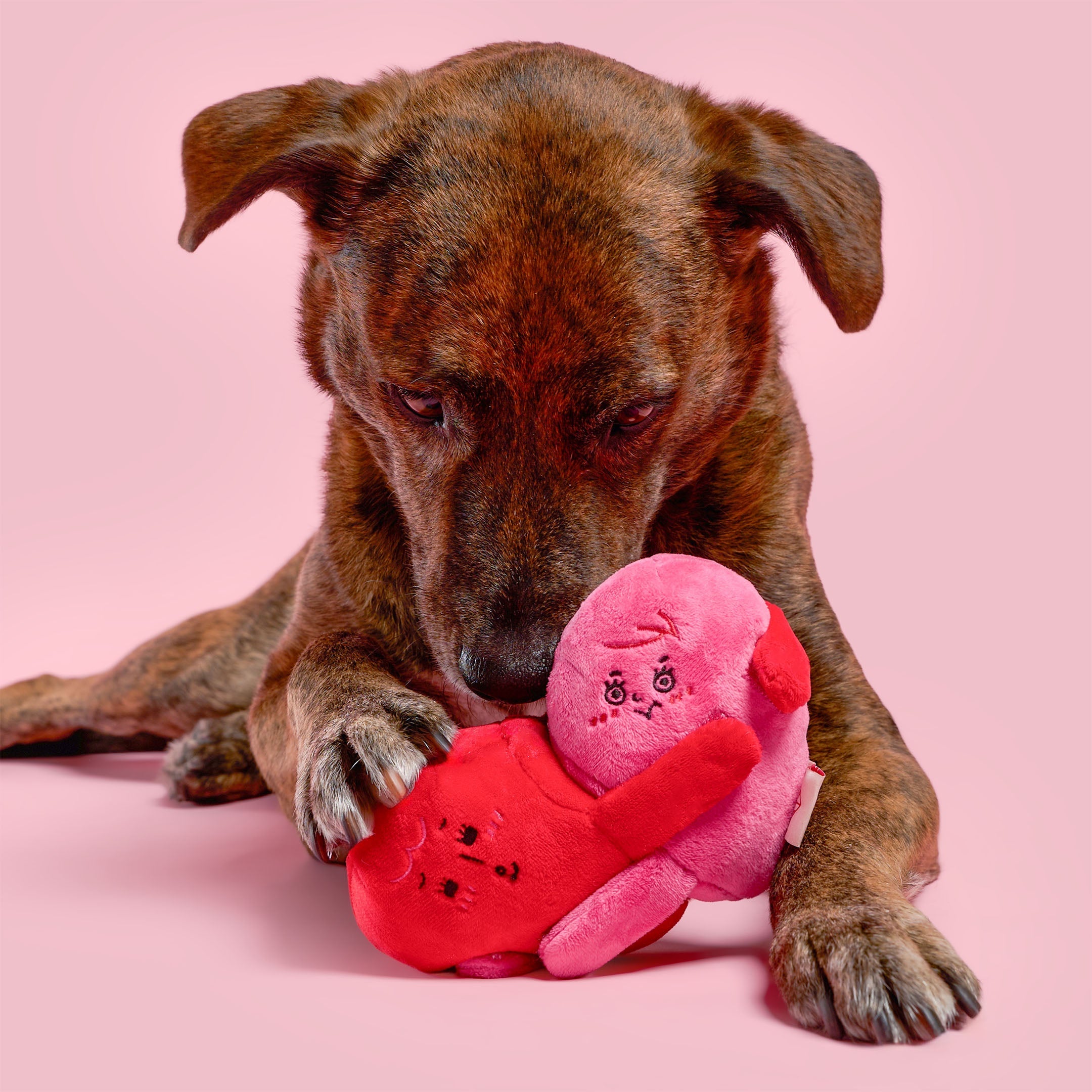 Пошукова іграшка LOVE LOCKED The Furryfolks