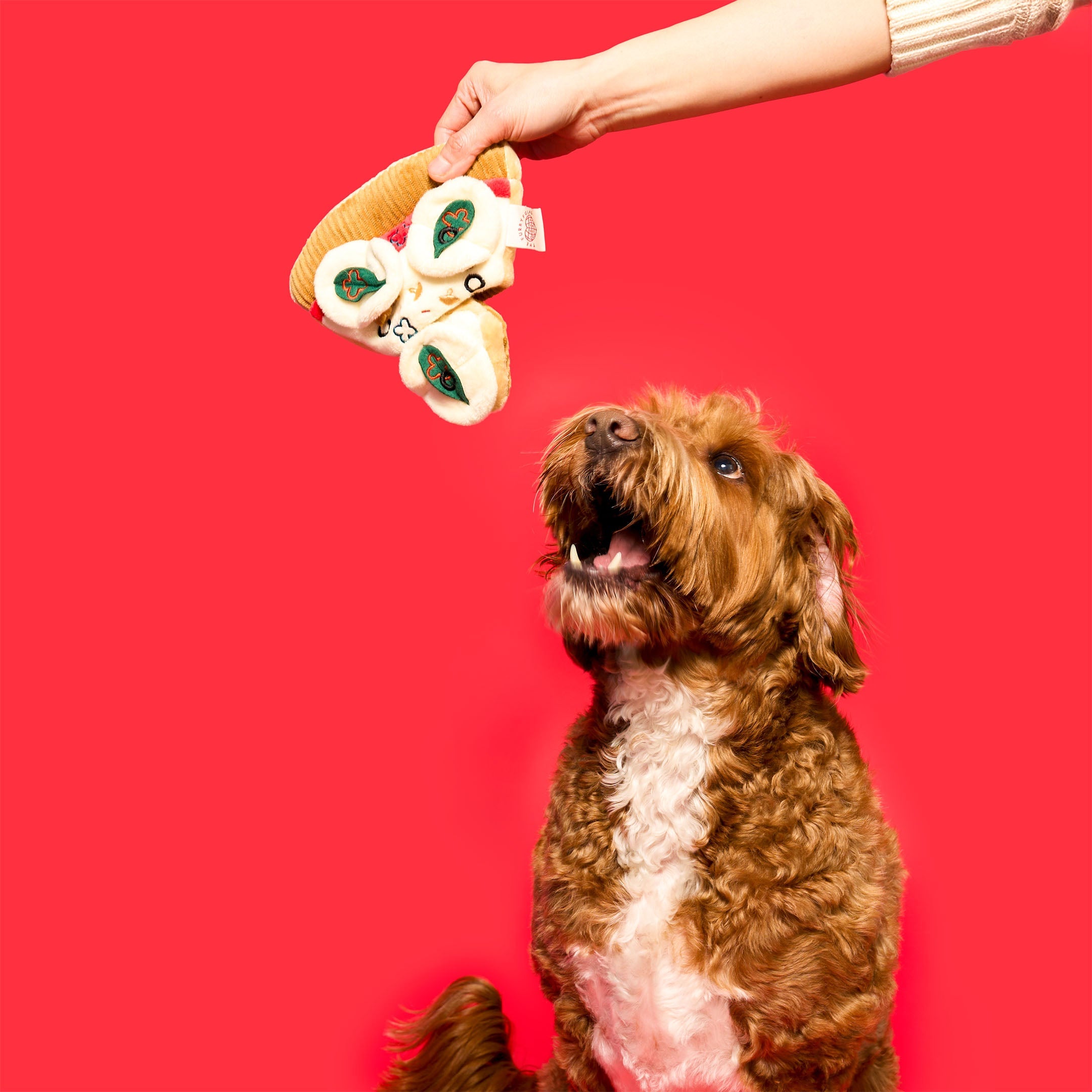 Пошукова іграшка PIZZA The Furryfolks